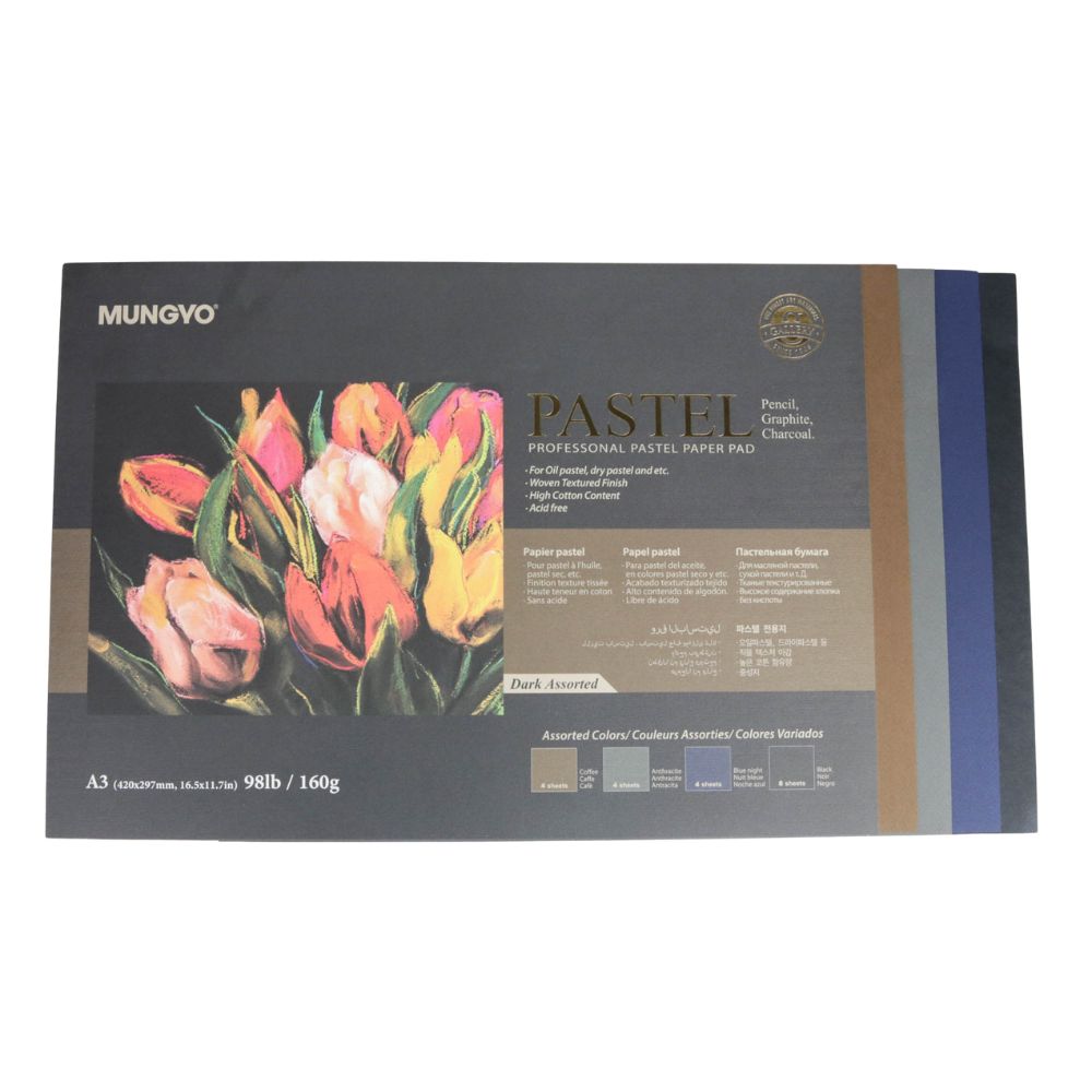 Papier pour pastel ass. foncé