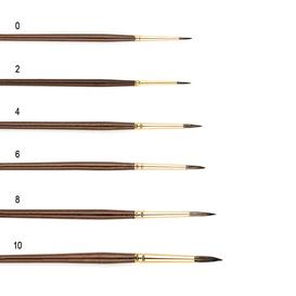 Brush series 1403-01