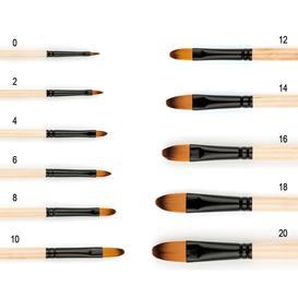 ProSource A55505 Hobby & Craft Artist Brush Set 5 Piece: Artist Brushes  (045734916098-1)