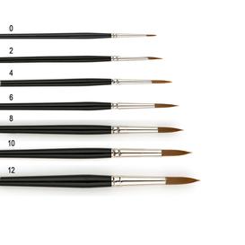 Brush series 310